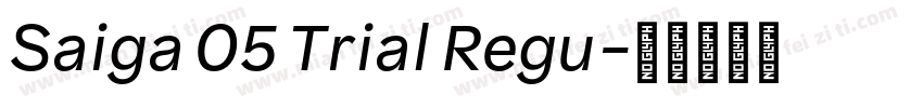 Saiga 05 Trial Regu字体转换